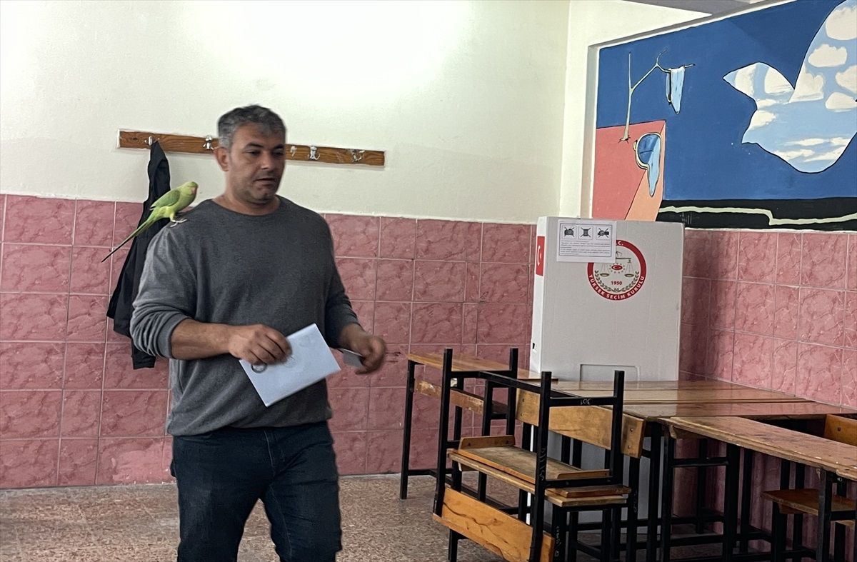 Antalya\'da Taksici, Papağanıyla Oyunu Kullandı