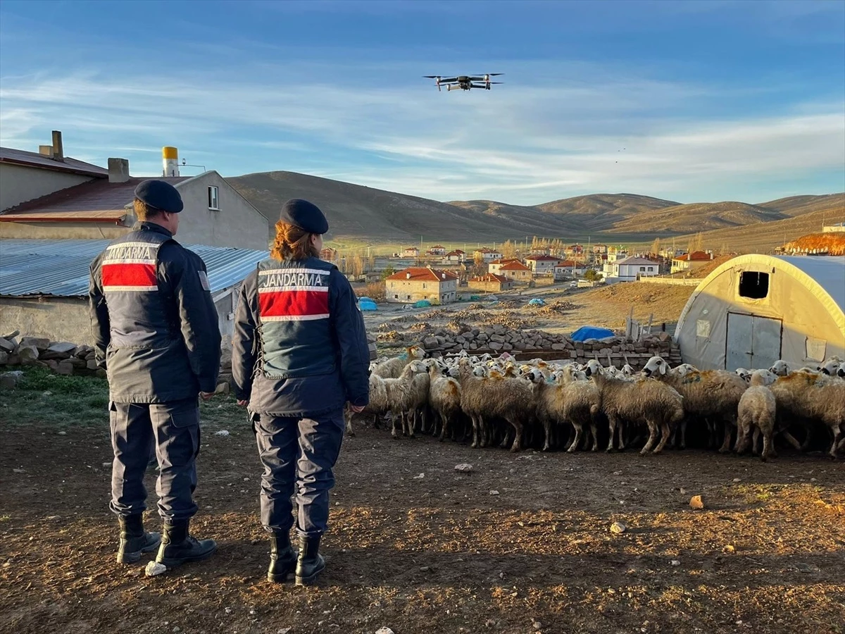 Kayseri\'de kaybolan 150 küçükbaş hayvan dron yardımıyla bulundu