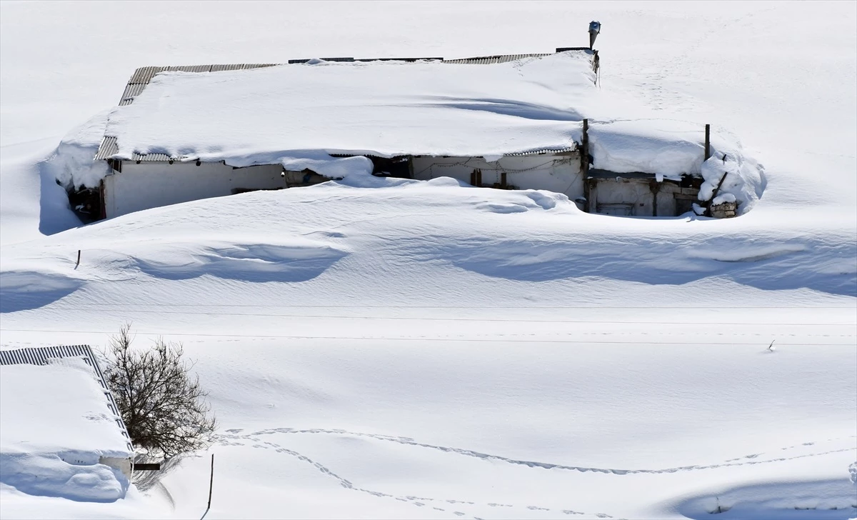 Kars\'ın Handere köyünde kar altında yaşam mücadelesi