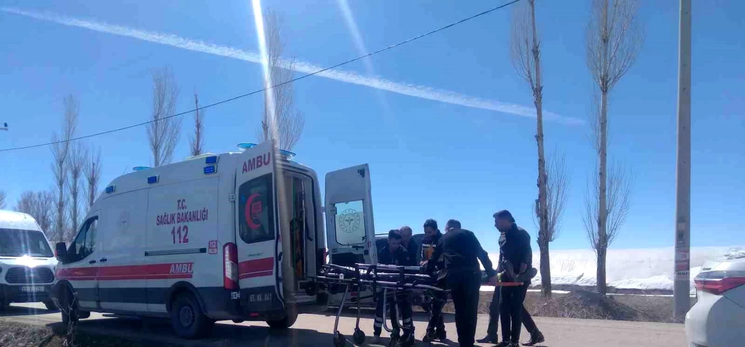 Van\'ın Özalp ilçesinde otomobil ağaca çarptı: 4\'ü çocuk 7 kişi yaralandı