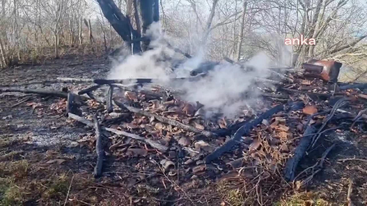 Sinop\'ta Orman Yangını: 2 Dönümlük Alan Zarar Gördü