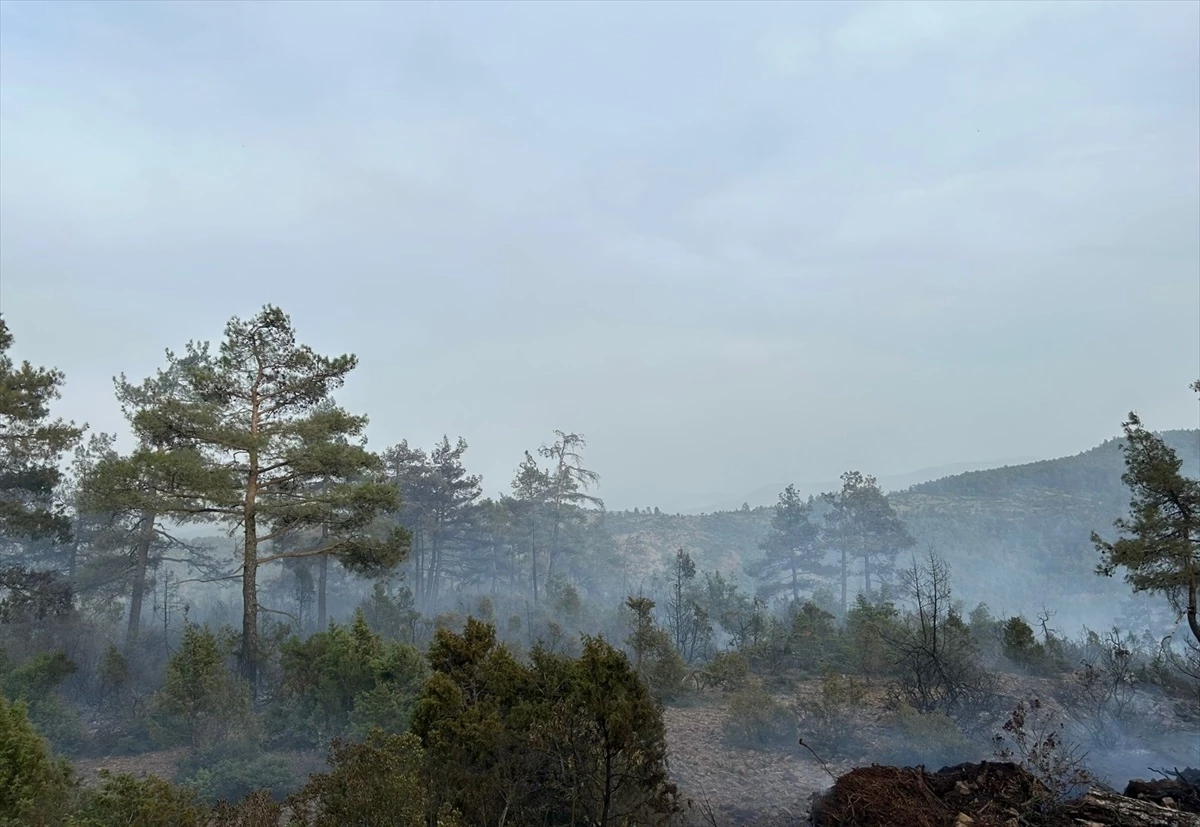 Orhaneli ilçesindeki orman yangını kontrol altına alındı
