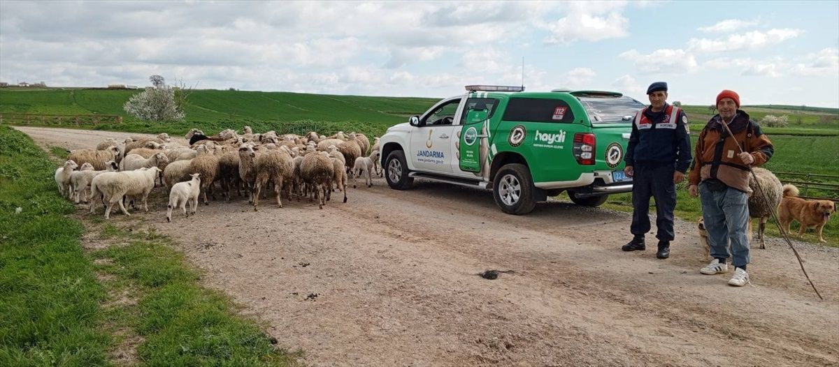 Edirne\'de Jandarma Ekipleri Çevre ve Trafik Bilgilendirmesi Yaptı