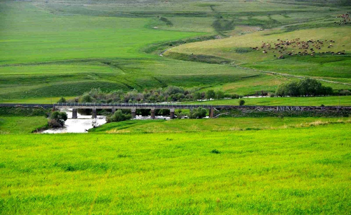 Erzurum\'da Çiftçilere Yem Bitkileri Desteklemesi İçin Başvuru Tarihleri Açıklandı