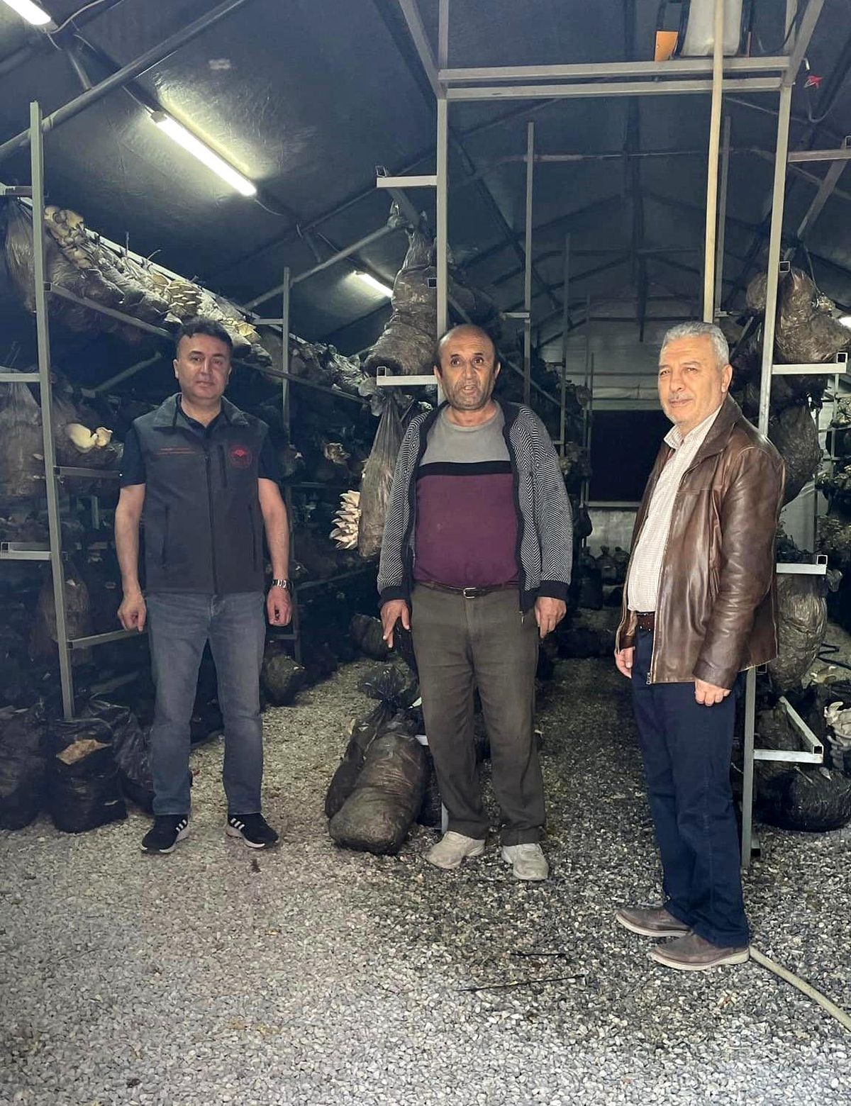 Beyşehir\'de Mantar Üretimi Geliştiriliyor