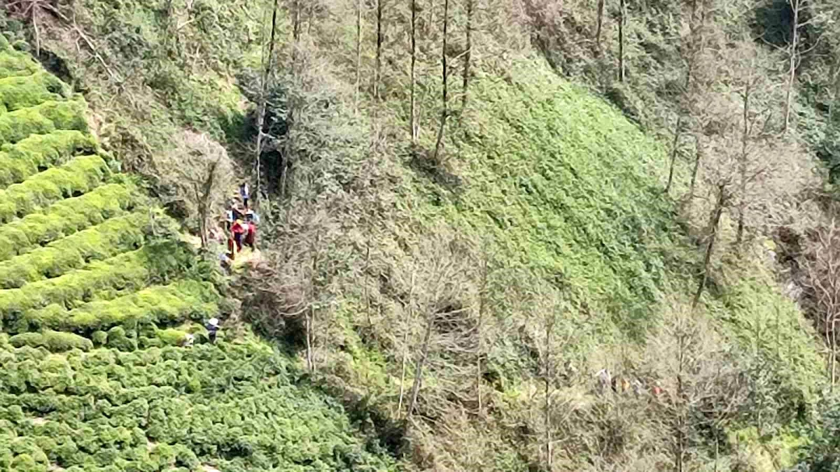 Rize\'de ilkel teleferiğin ağaca çarpması sonucu 2 kişi ağır yaralandı