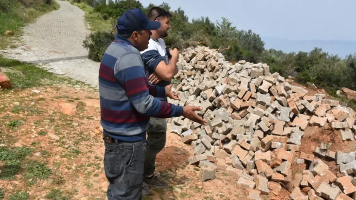 Seçimi kaybeden muhtar, "Tapulu arazim" diyerek yolu kapatıp ağaç dikti