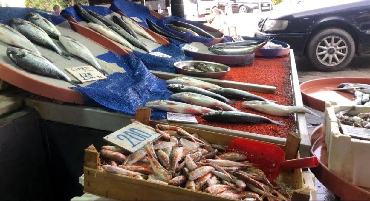 Zonguldak\'ta av yasağı öncesi balık alışverişi sürüyor