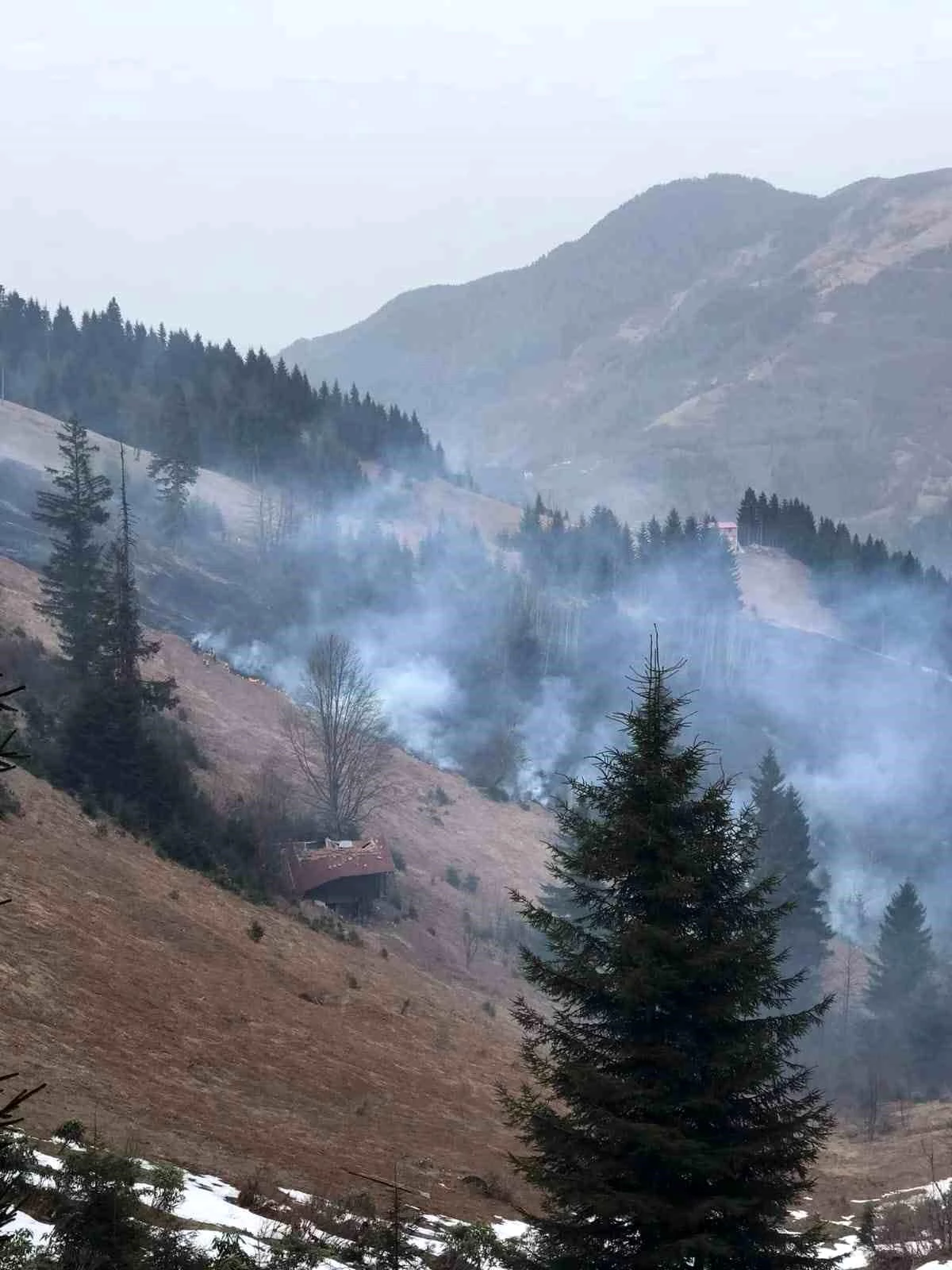 Trabzon\'un Çaykara ilçesinde ormanlık alanda yangın çıktı