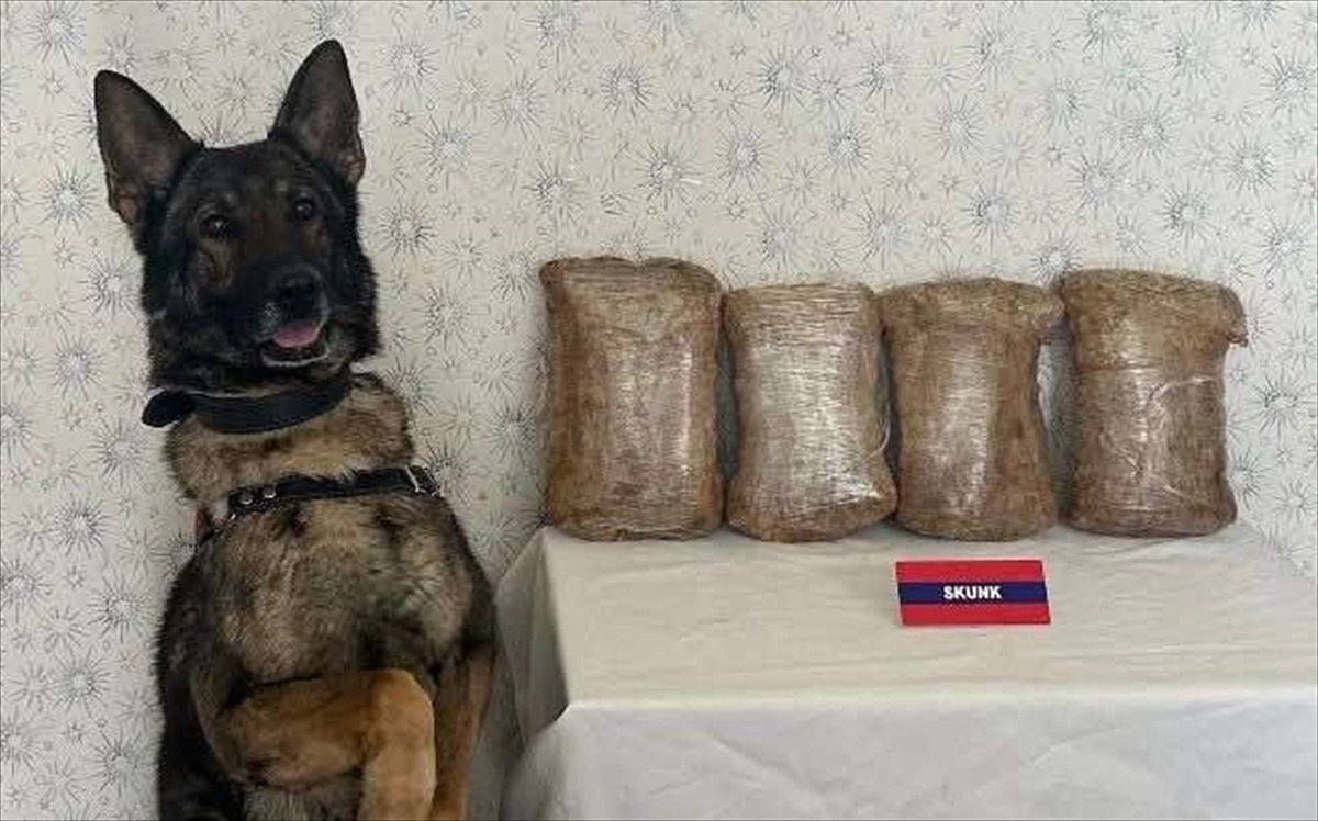 Bolu\'da yolcu otobüsünde 3 kilo 80 gram sentetik uyuşturucu ele geçirildi, şüpheli tutuklandı