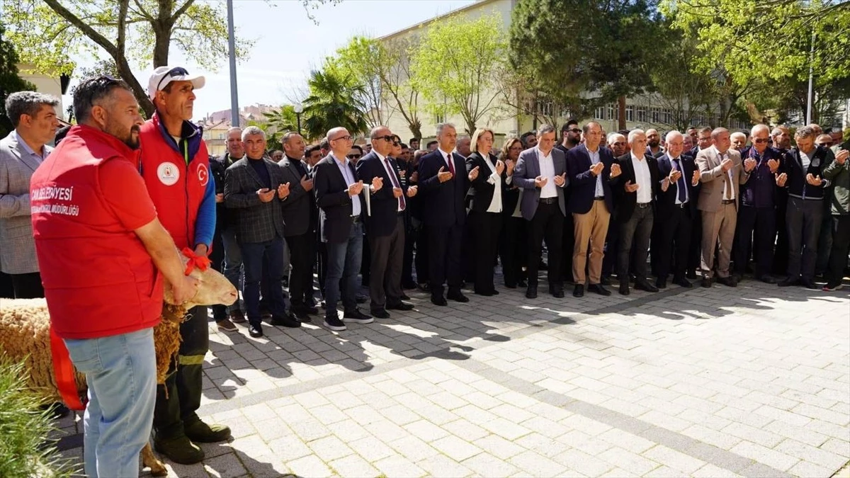 Çanakkale\'nin Çan ilçesinde CHP\'den Belediye Başkanı seçilen Harun Arslan mazbatasını aldı