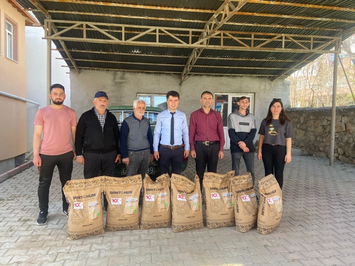 Çiftçilere yüzde 75 hibe destekli yağlık ayçiçek tohumu dağıtıldı