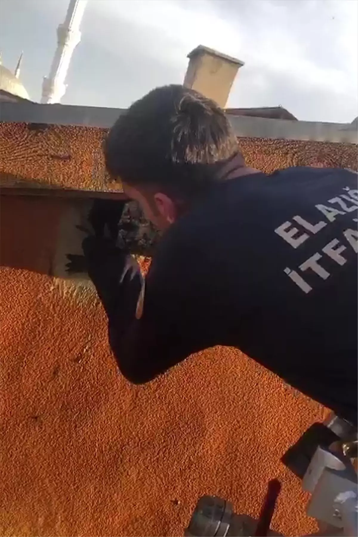 Elazığ\'da duvardaki deliğe sıkışan ebabil kuşu itfaiye ekiplerince kurtarıldı