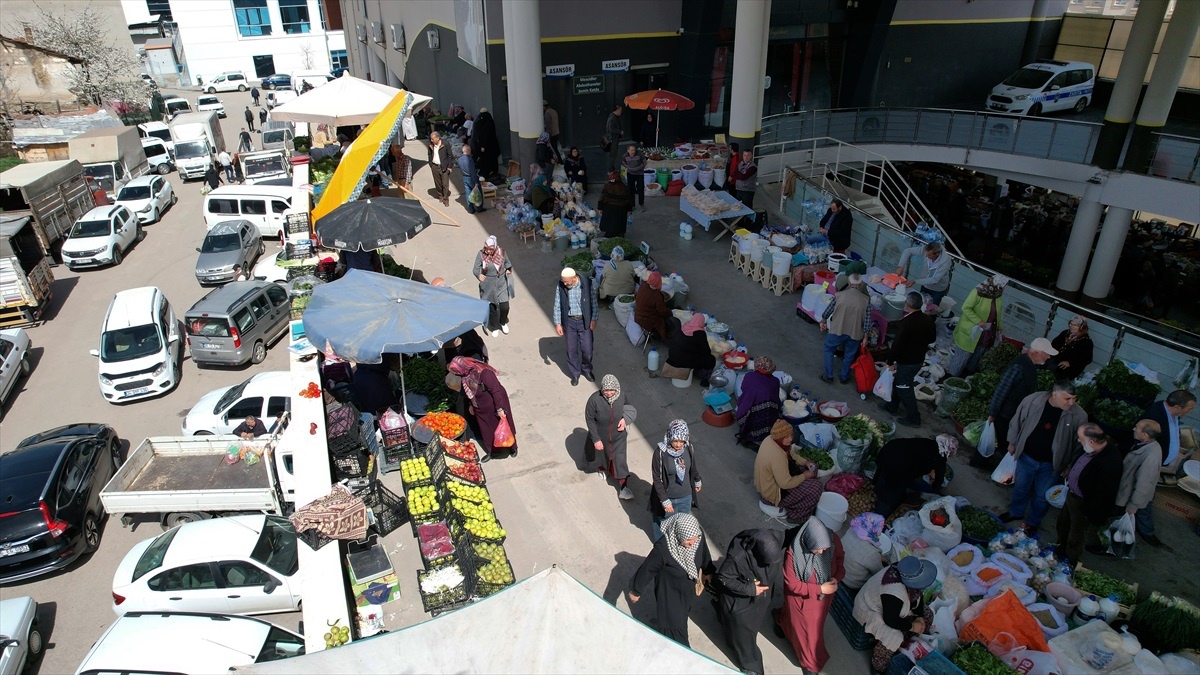 İlkbaharın gelmesiyle Çubuk ilçesinde şifalı bitkiler pazarda