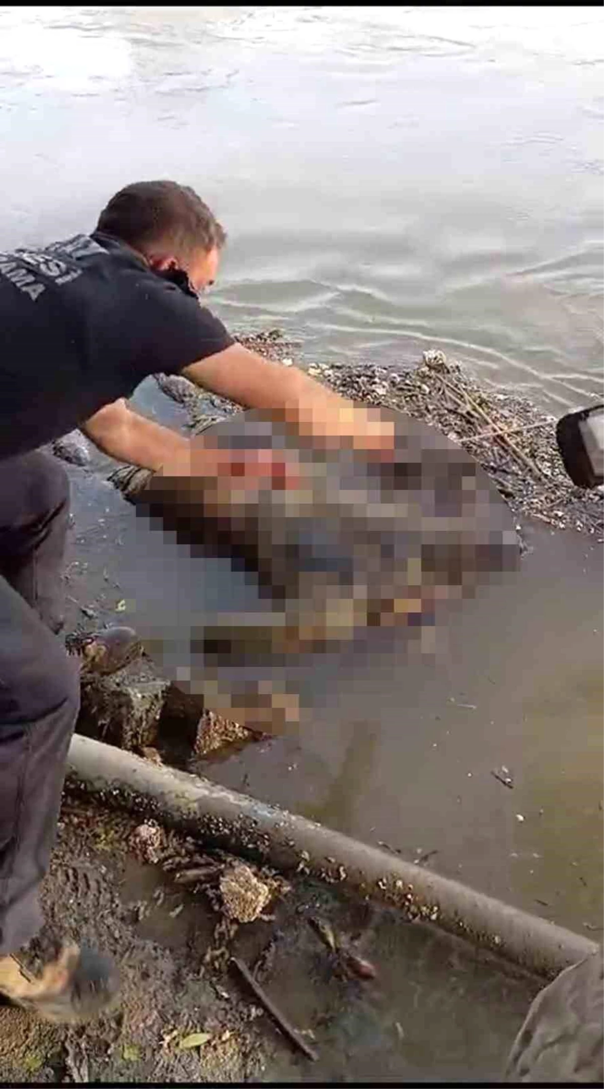Hatay\'da Asi Nehri\'nde erkek cesedi bulundu