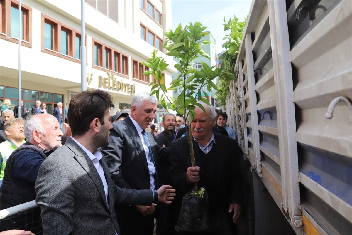 Trabzon\'un Of ilçesinde 20 bin meyve fidanı dağıtıldı
