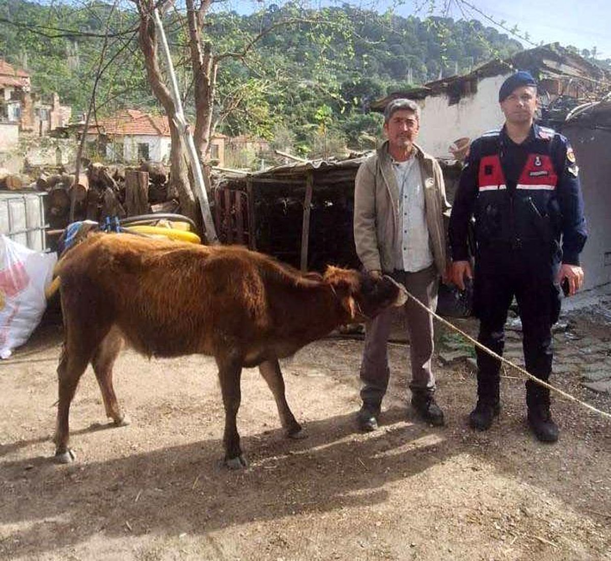 Aydın Söke\'de Hayvan Hırsızlığı Şüphelileri Yakalandı