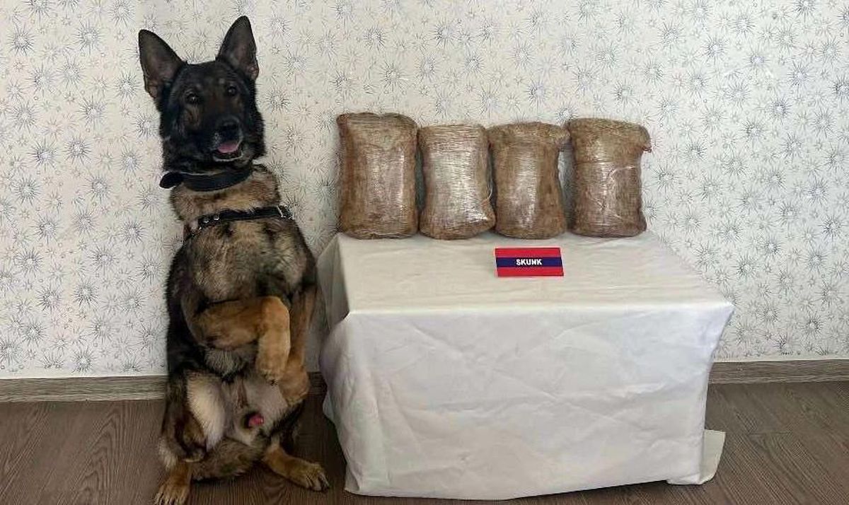Bolu\'da Yolcu Otobüsünde 3 Kilo 80 Gram Skunk Maddesi Ele Geçirildi