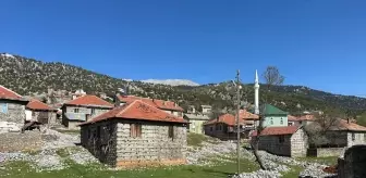 Akseki'de Çoban Köpeklerinin Saldırısında Hayatını Kaybeden Kadının Hayvan Sahibi Tutuklandı