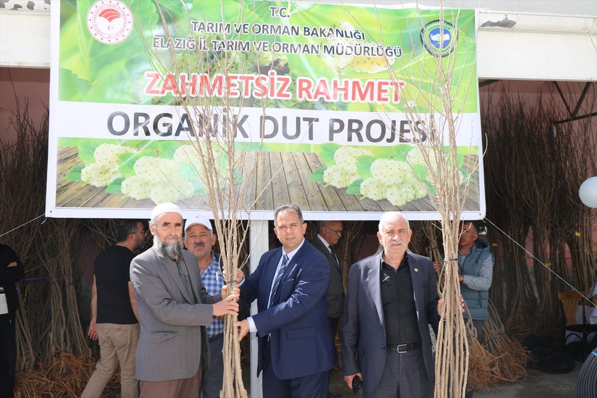 Elazığ\'da Organik Tarımın Yaygınlaştırılması ve Kontrolü Projesi kapsamında 10 çiftçiye dut fidanı dağıtıldı