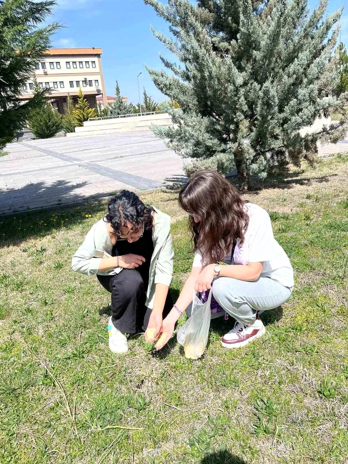 Erciyes Üniversitesi Gelengileri Besliyor