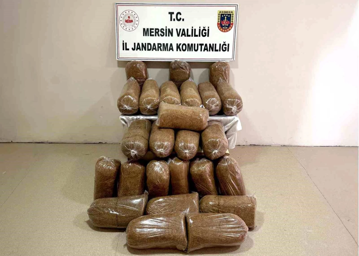 Mersin\'de Jandarma Operasyonu: 290 Kilogram Kaçak Tütün Ele Geçirildi