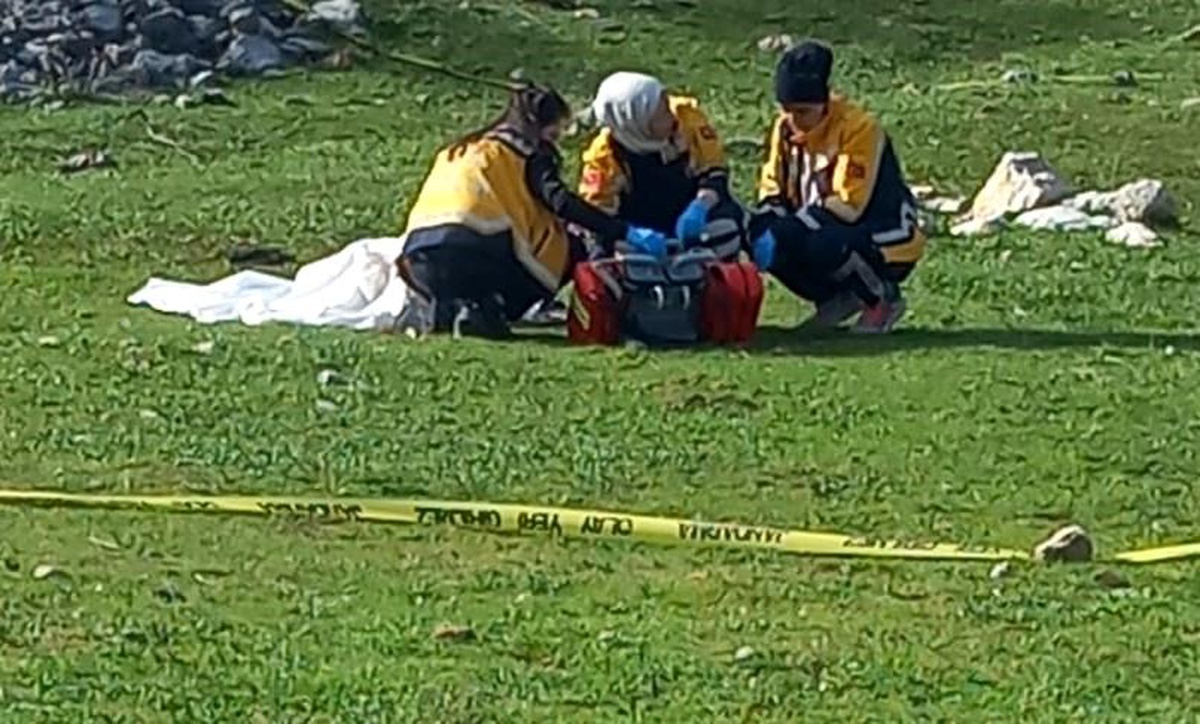 Akseki\'de Çoban Köpekleri Tarafından Saldırıya Uğrayan Kadın Hayatını Kaybetti
