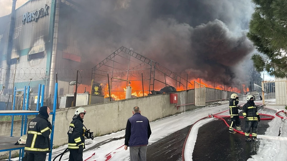 Tekirdağ\'ın Ergene ilçesindeki bir fabrikada çıkan yangın söndürülmeye çalışılıyor