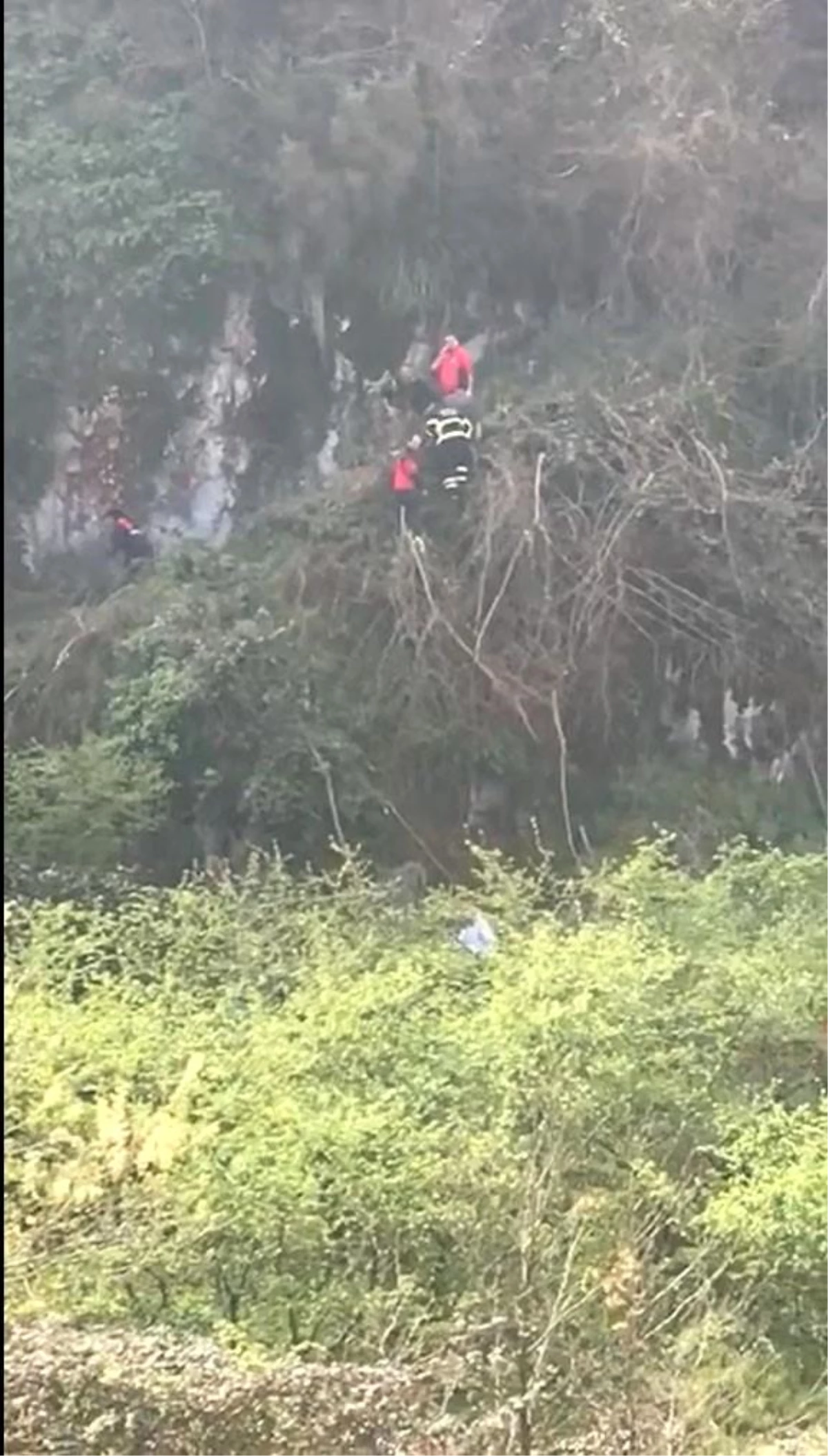 Giresun\'da ağaç keserken uçuruma yuvarlanan kişi kurtarıldı