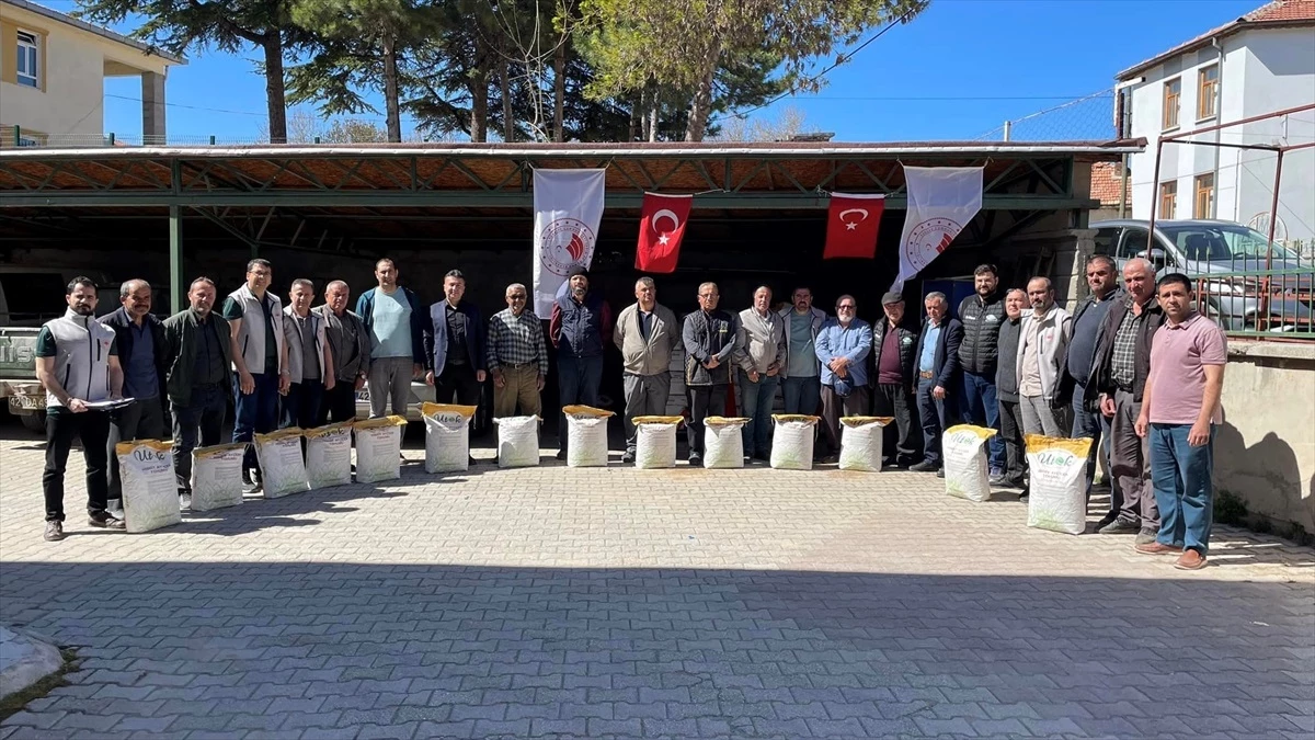 Beyşehir İlçe Tarım ve Orman Müdürlüğü, yağlık ayçiçeği üretimini destekliyor