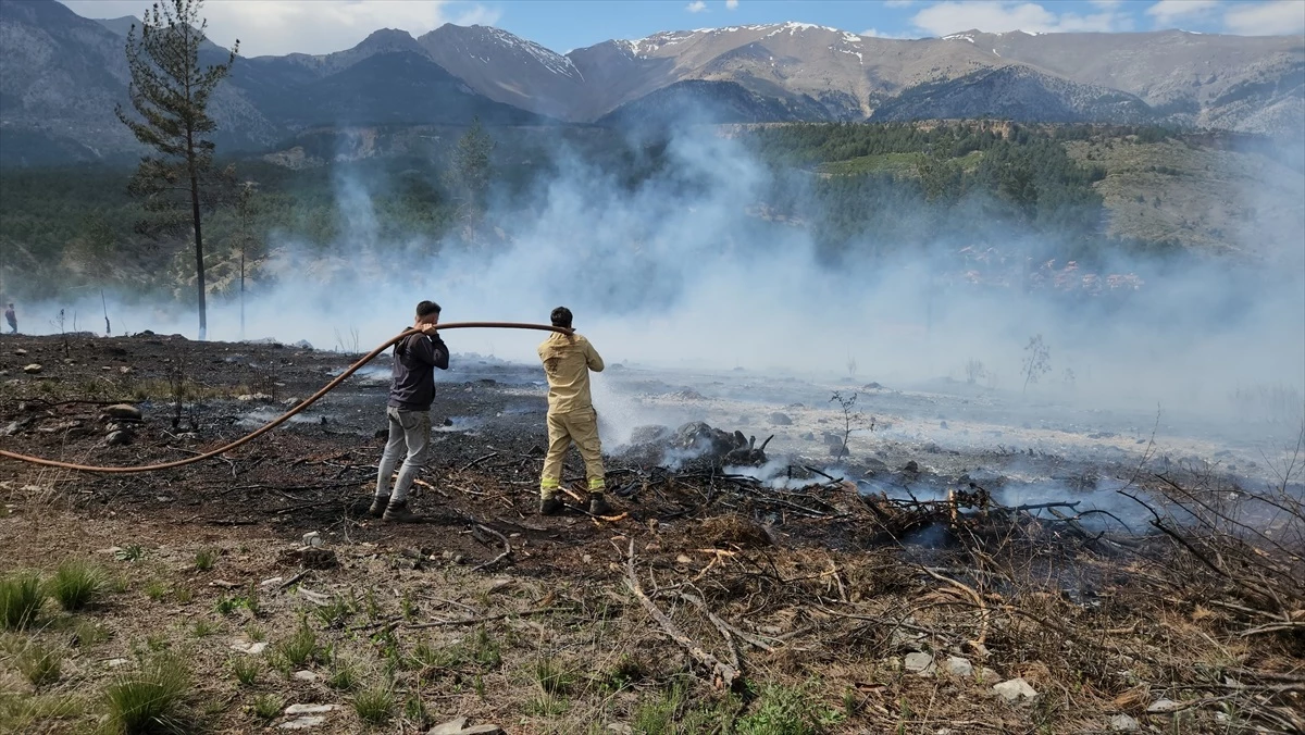 Adana Pozantı\'da çıkan orman yangını kontrol altına alındı