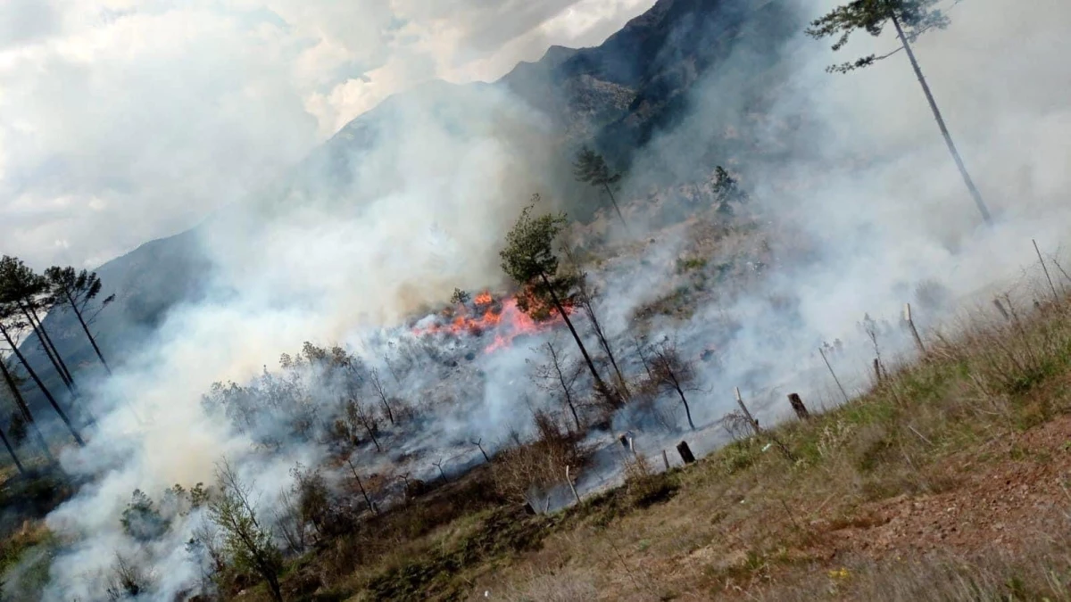 Adana\'da hızlı müdahale ile orman yangını kontrol altına alındı