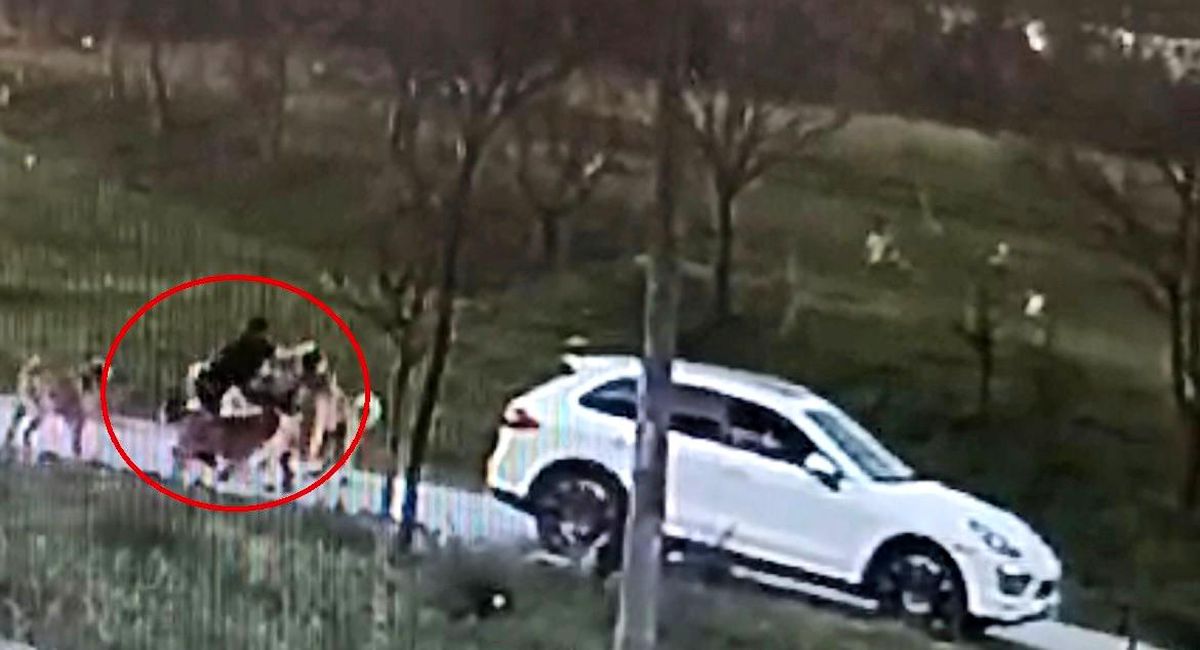 Bursa\'da başıboş köpeklerin saldırısına uğrayan adam ölümden döndü