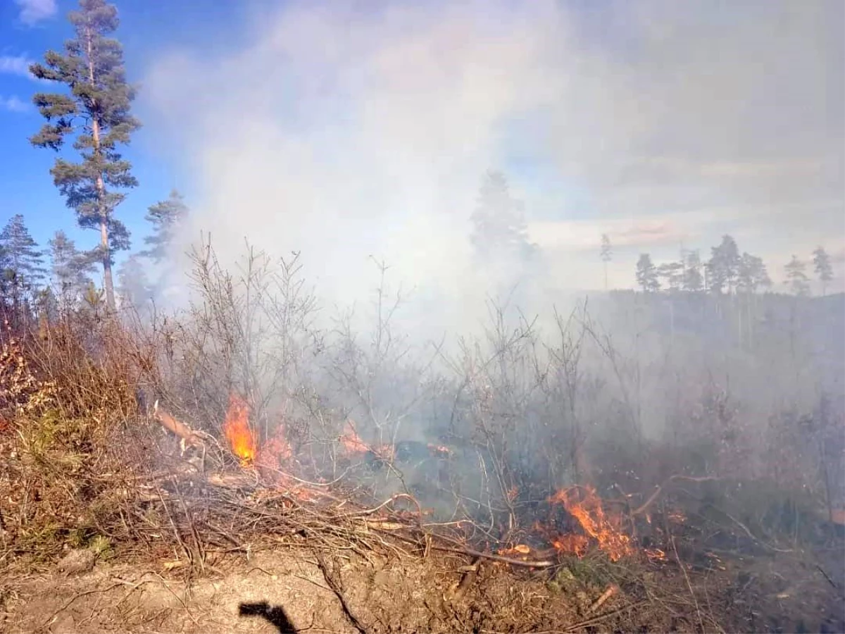 Kastamonu Daday\'da Orman Yangını Söndürüldü