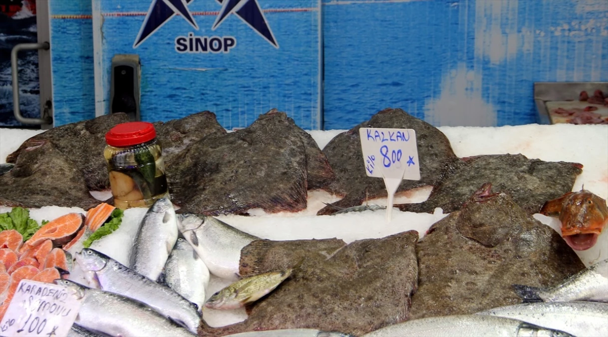 Sinop\'ta Kalkan Balığının Fiyatı Düştü