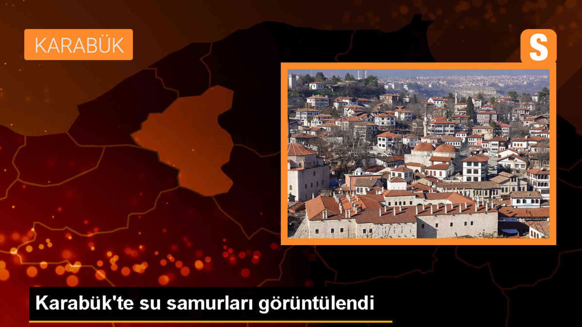 Karabük\'te su samurlarının görüntüleri cep telefonu kamerasıyla kaydedildi