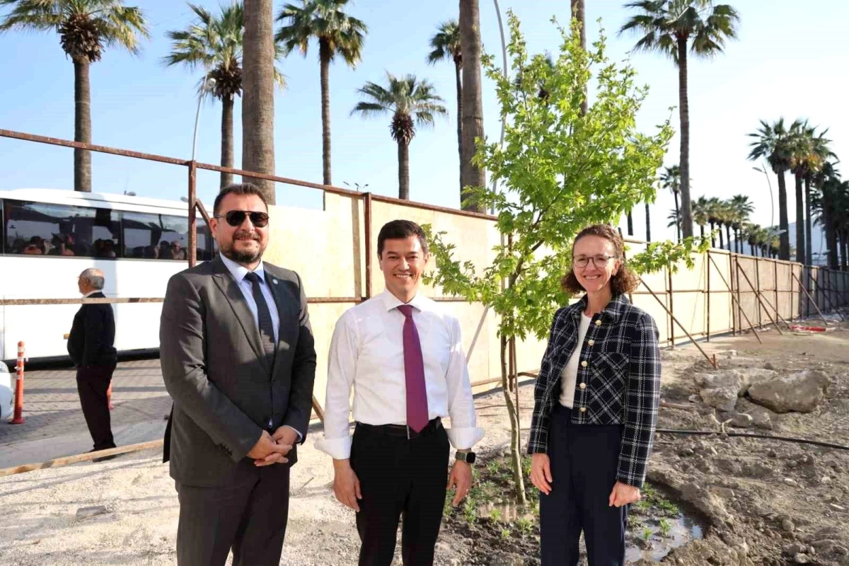 Marmaris Belediyesi Eski Binasının Önünde Kesilen Ağacın Yerine Çınar Ağacı Dikildi