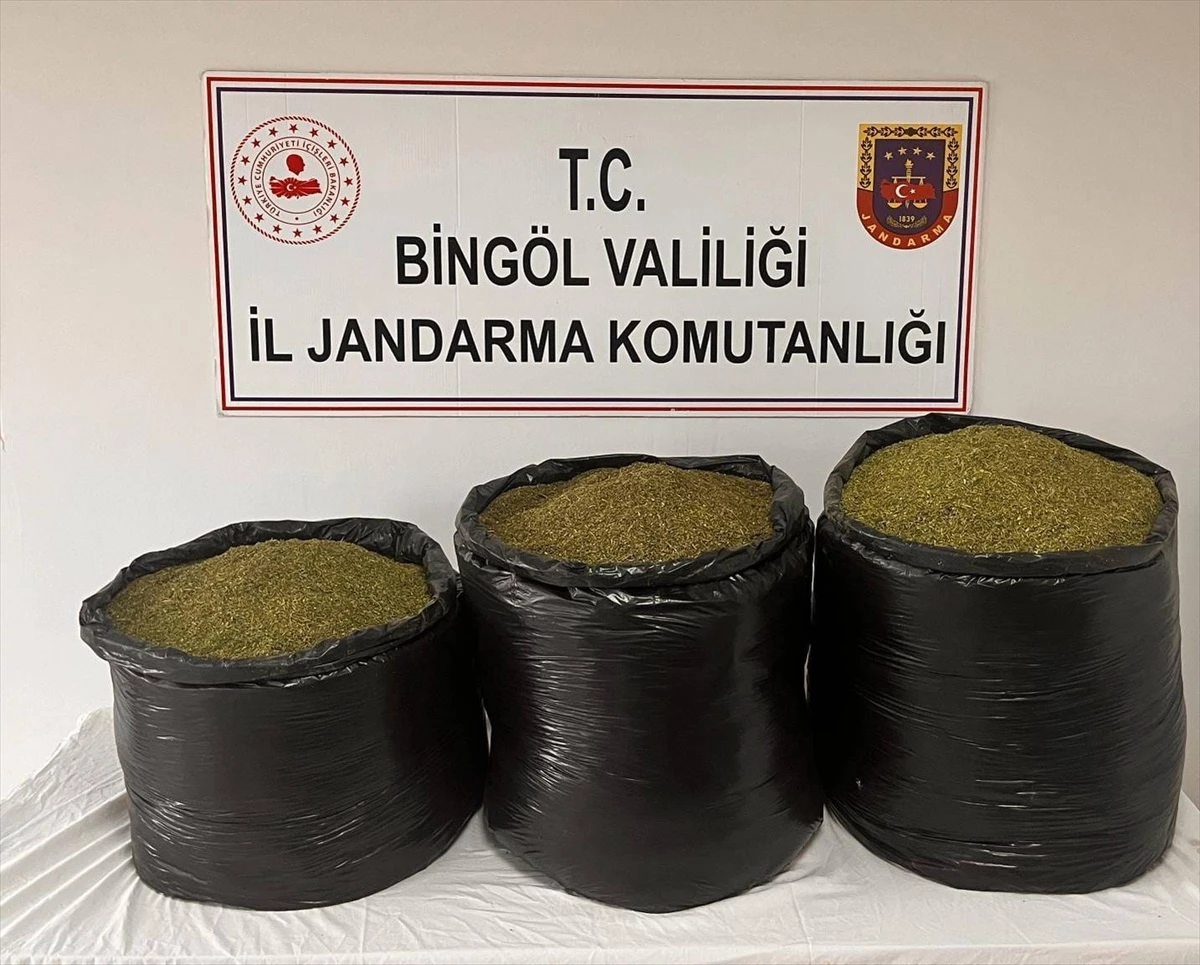 Bingöl\'ün Genç ilçesinde 53 kilo 500 gram esrar ele geçirildi
