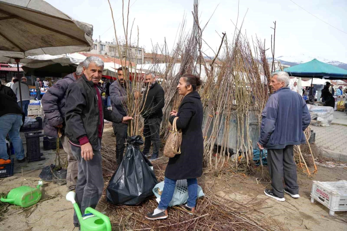 Erzincan\'da Bahar Ayında Meyve Fidanları Satışa Sunuldu