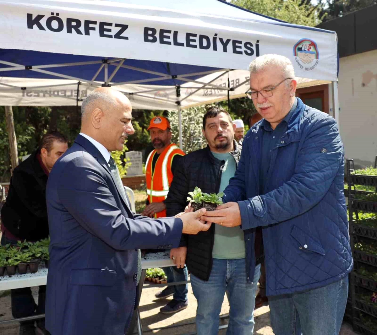 Körfez Belediyesi Mezarlıklara Çiçek Fidesi Dağıttı