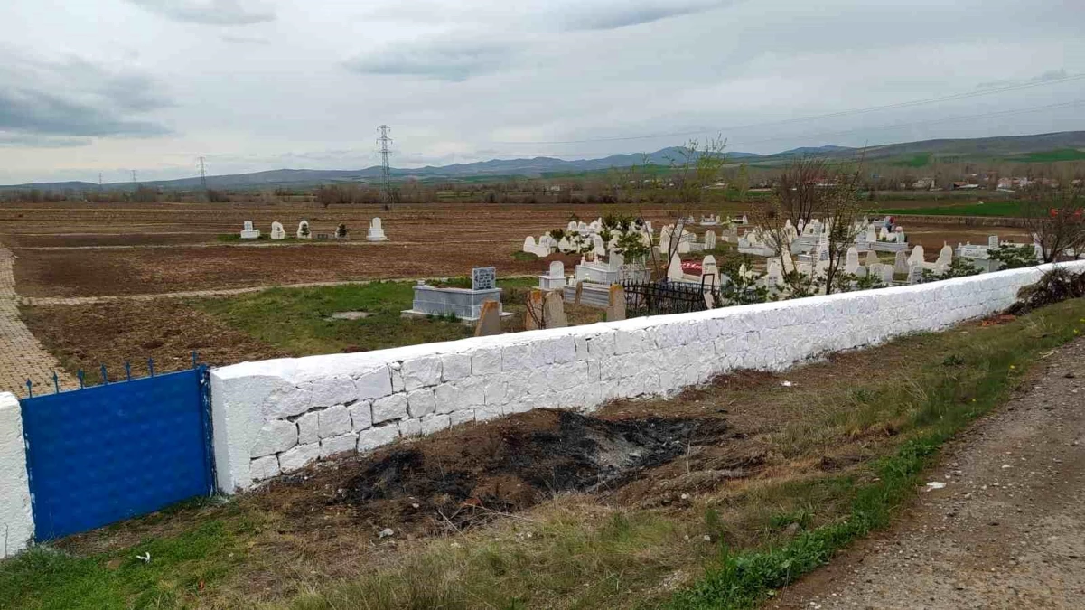 Sivas\'ın Gemerek İlçesi Eskiçubuk köyü muhtarı, mazbatasını aldıktan sonra ilk iş olarak mezarlık temizliği yaptı