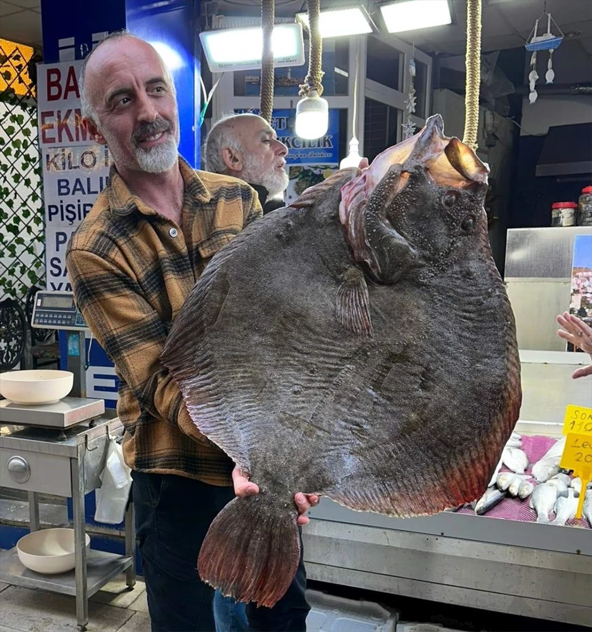 Sinop\'ta 12 Kilogramlık Kalkan Balığı Rekor Fiyata Satıldı