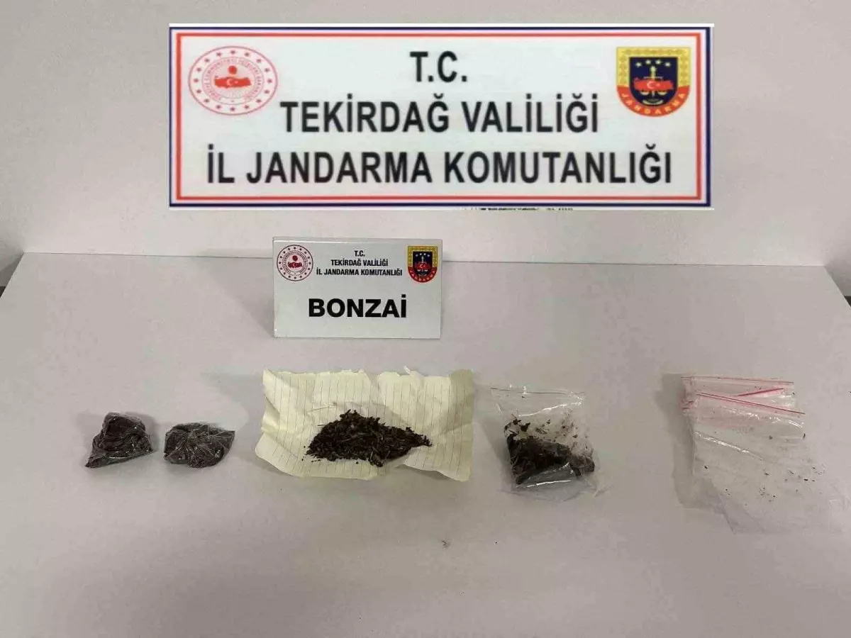 Tekirdağ\'da jandarma ekipleri 15 şüpheliyi uyuşturucuyla mücadele kapsamında yakaladı