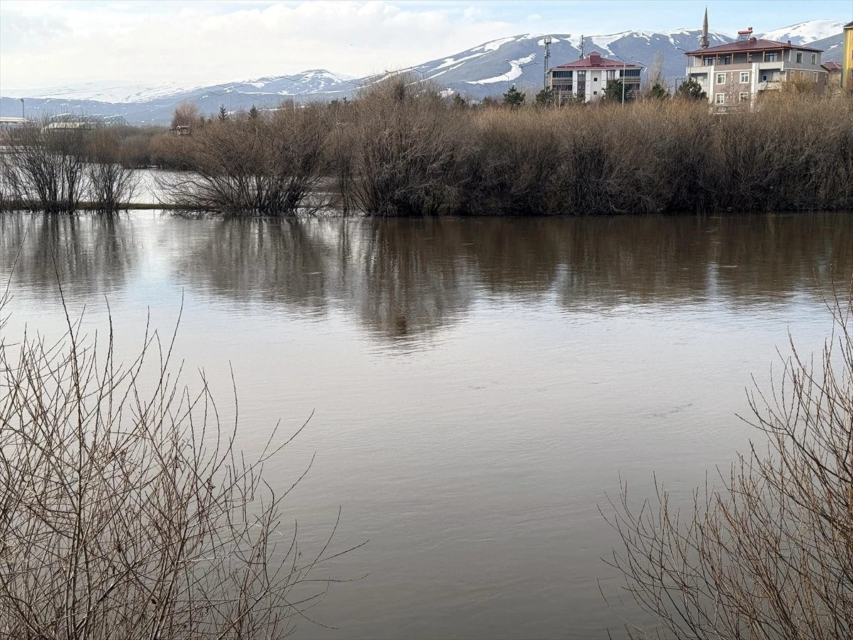 Kura Nehri Taştı, Ardahan Ovası\'nın Büyük Bölümü Sular Altında Kaldı