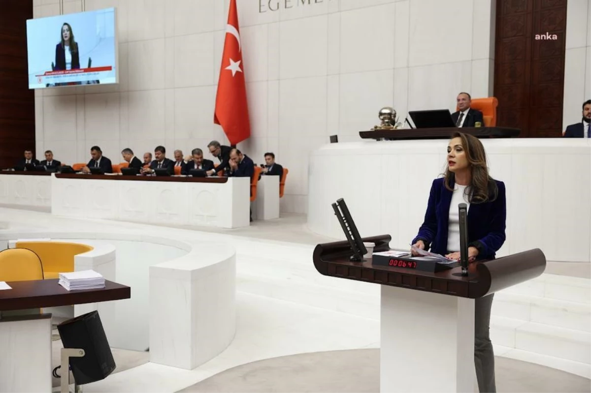 CHP Milletvekili Gamze Akkuş İlgezdi, Bakanın giyim yardımı rakamlarını eleştirdi