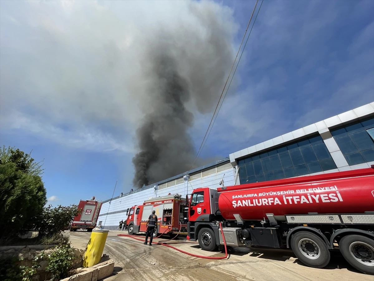 Şanlıurfa\'da bir tekstil fabrikasında çıkan yangına itfaiye ekipleri müdahale ediyor
