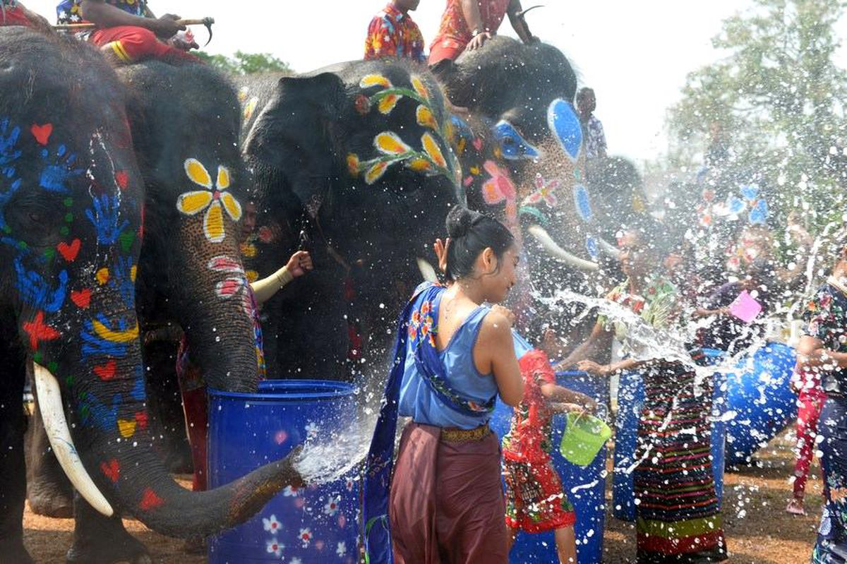 Tayland\'da Songkran Festivali: İnsanlar Fillerle Su Sıçratıyor