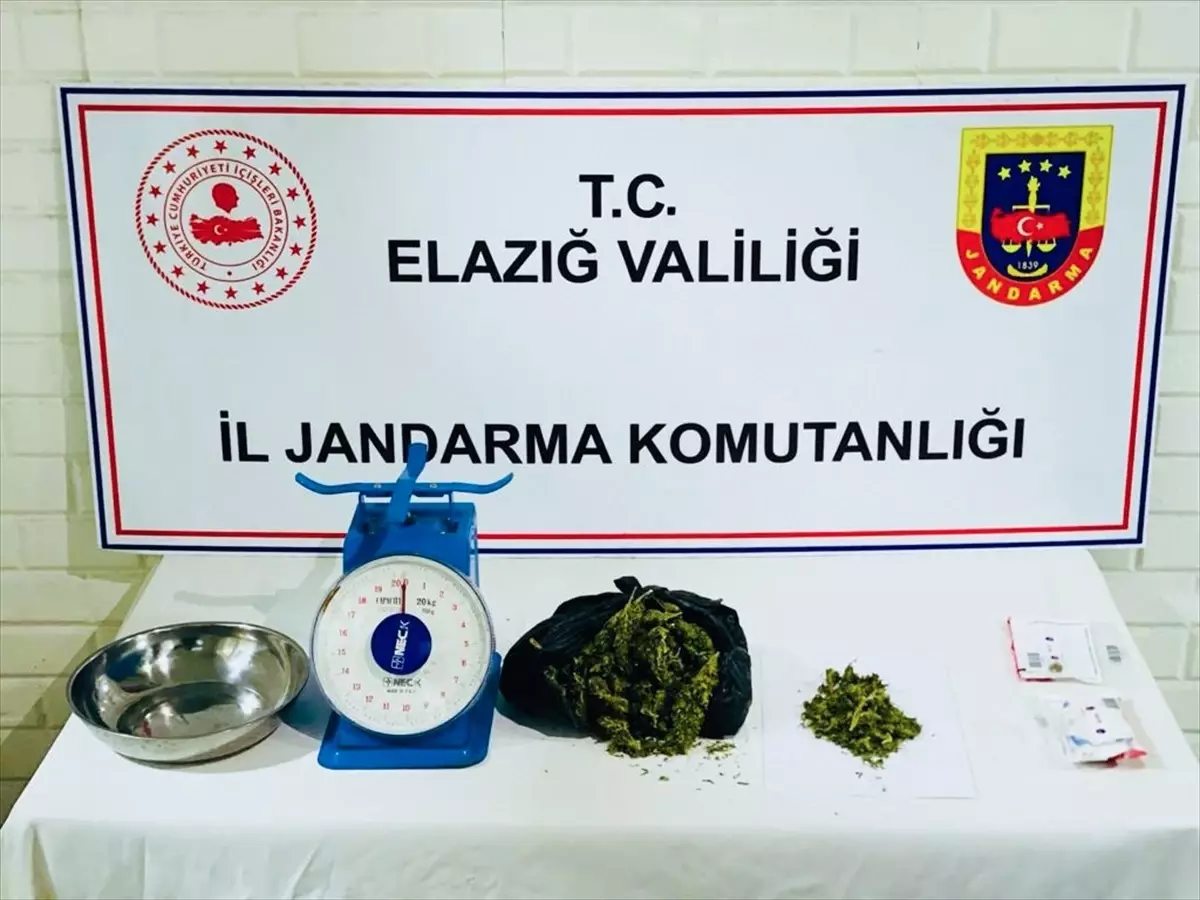 Elazığ\'da Hayvan Barınağında Uyuşturucu Ele Geçirildi