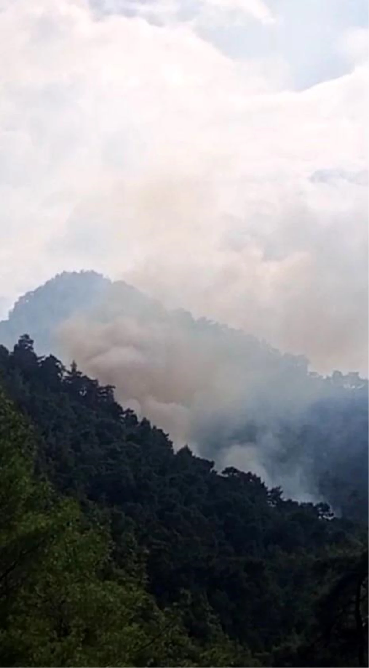 Antalya Kemer\'de çıkan orman yangını kontrol altına alındı