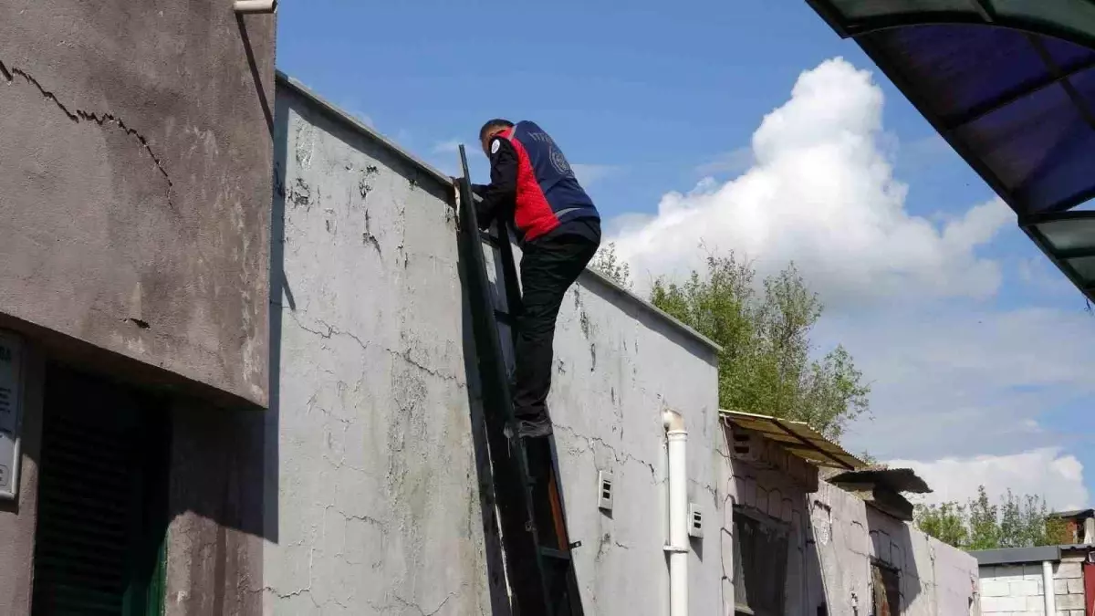 Adıyaman\'da mahsur kalan iki kedi itfaiye ekipleri tarafından kurtarıldı